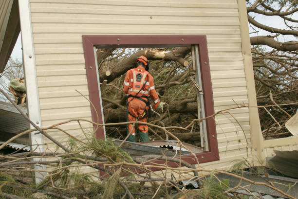 Best Tree Disease Treatment  in Lake Riverside, CA